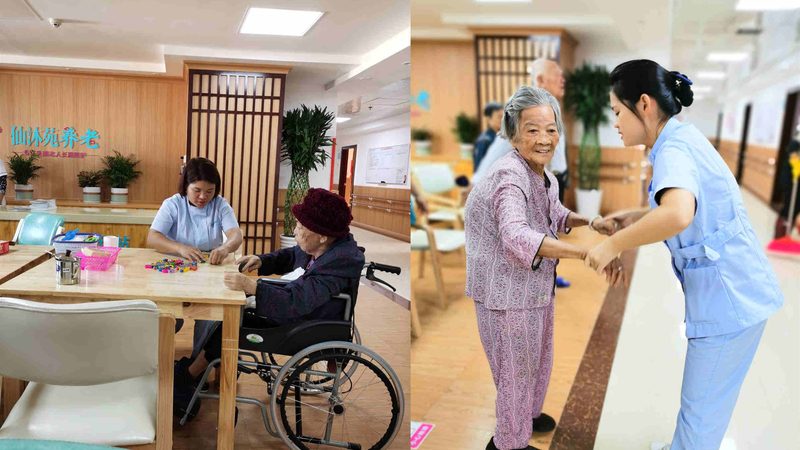 养老院护理机器人：揭秘其型号与规格背后的技术奥秘